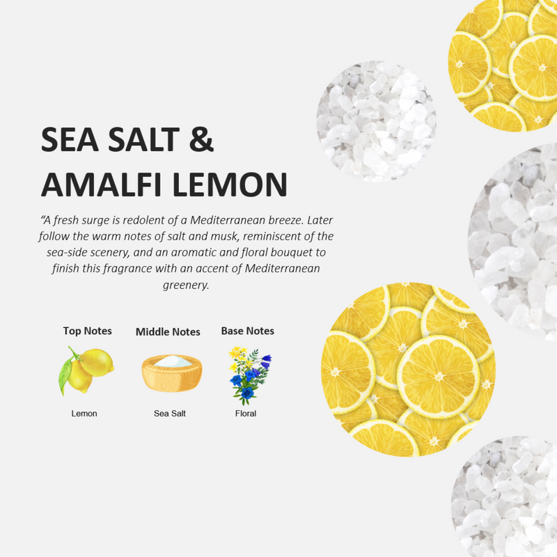 Fruits & Passion  [Cucina] Seasalt and Amalfi Lemon Fragrant Kitchen Mist 100 ml - 2 Pack