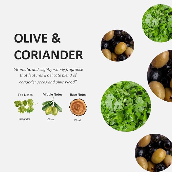 Fruits & Passion [Cucina] Regenerating Coriander and Olive Tree Hand Cream 1.69 fl. oz - 2 pack