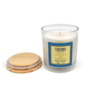 Fruits and Passion Cucina Sea Salt and Amalfi Lemon Perfumed Wax Candle 7.7 Ounces--Opened