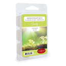 Candle Warmers Aromatherapy Scented Wax Melts - Lemongrass and Lime