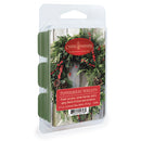 Candle Warmers Aromatherapy Scented Wax Melts - Pepperberry Wreath