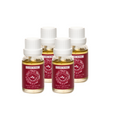 Claire Burke Christmas Memories Home Fragrance Oil 4 Pack