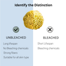 Barefoot Venus All Natural Sea Premium Sponge - Medium Size