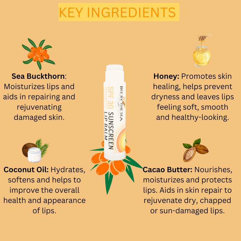 Bee by the Sea Moisturizing, Soothing and Nourishing Lip Balm with Sea Buckthorn SPF Lip Balm - Coconut