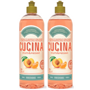 Fruits & Passion [Cucina] Peach and Mandarin Concentrated Dish Detergent Bottle 500 ml (2 pack)
