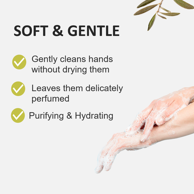 Fruits & Passion Cucina Coriander and Olive Tree Hand Soap - Specifications