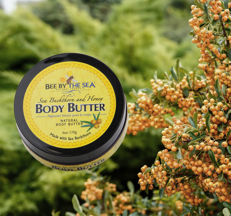 Bee By The Sea Buckthorn and Honey Natural Body Butter Made With Coconut Oil 6 Ounces-Normal view 