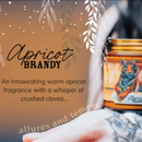 Barefoot Venus Apricot Brandy Instant Hand Repair Jar - 3 Ounces