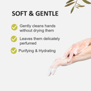 Fruits & Passion Cucina Sea Salt and Amalfi Lemon Hand Soap - Specifications