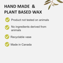 Fruits & Passion Alo Grapefruit Guava Perfumed Candle 7.7 Ounces - 2 Pack-Features