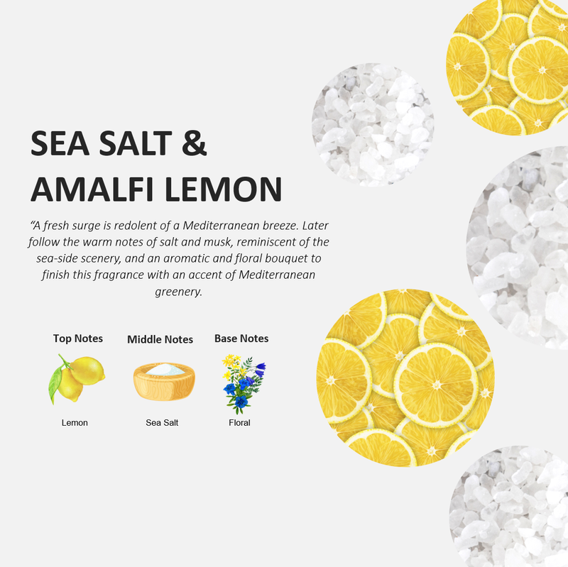 Fruits & Passion Sea Salt & Amalfi Lemon Kitchen Trio Holiday Gift Set (Hand Soap, Dish Detergent & Hand Cream)