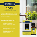 Airome Lemon 100% Pure Therapeutic Grade Essential Oil 15 Milliliters (15ml)