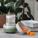 Candle Warmers Matcha Latte 2-in-1 Classic Fragrance Warmer