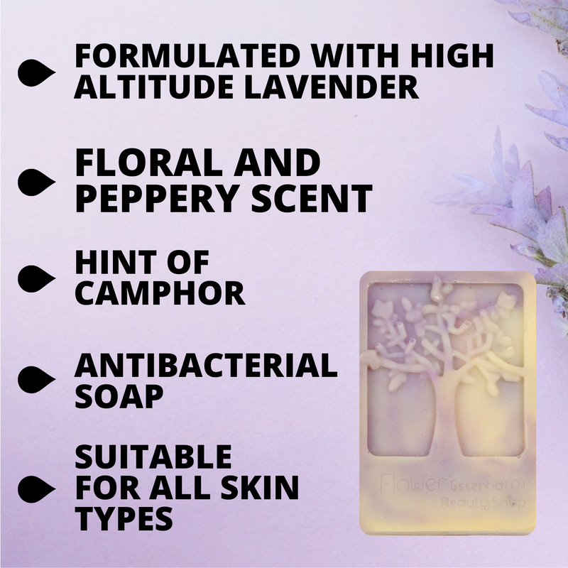 Cloud 9 Naturally Lavender Soap 100gr - 2 Pack