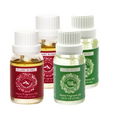 Claire Burke Christmas Memories and Fresh Royal Fir Home Fragrance Oil Set