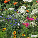 Barefoot Venus Wild Flower Massage and Bath Oil 8 Ounces--Flowers Image